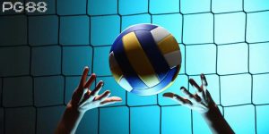Cá Cược Bóng Chuyền Với Cách Tham Gia Cực Kỳ Đơn Giản