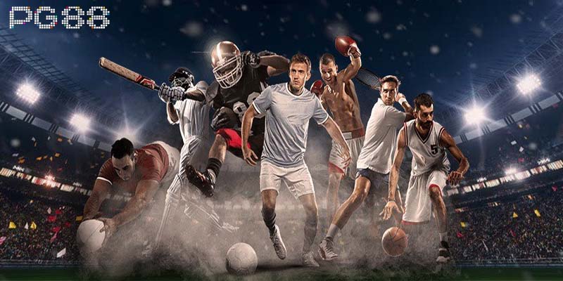 Những điều bạn cần biết về TF Sports