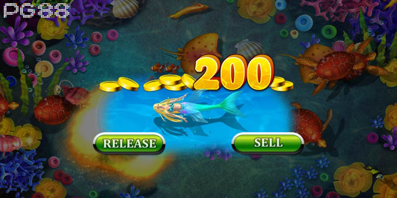 Tổng quan thông tin quan trọng về AE Lucky Fishing