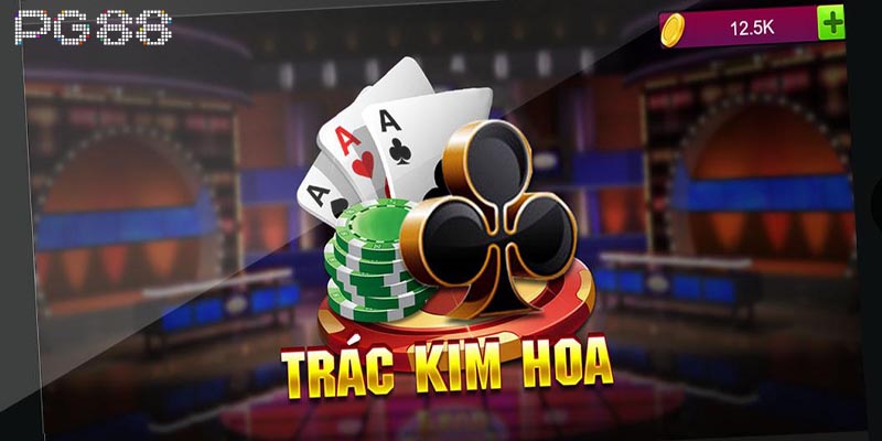 Trác Kim Hoa Bước Vào Thế Giới Cá Cược Đầy Kịch Tính